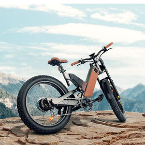 48V 750W real hub motor ebike Magnesium Alloy Frame 24 inch Fat tire Off Road Electric motorcycle