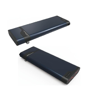 36V 48V Li-ion battery with carrier type case for electric bike