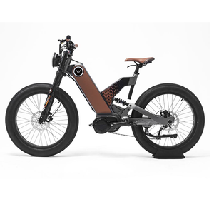 2023 New Design Magnesium Alloy 48v 750w Mid drive motor 24*14 inch Fat tire Off Road ebike central motor Electric motorcycle