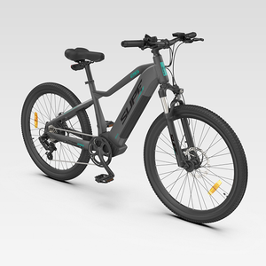 48V10Ah 250W rear hub motor electric bicycle MTB E-bike